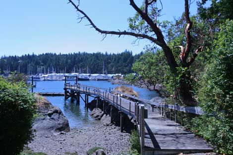 North Saanich neighbourhood photo